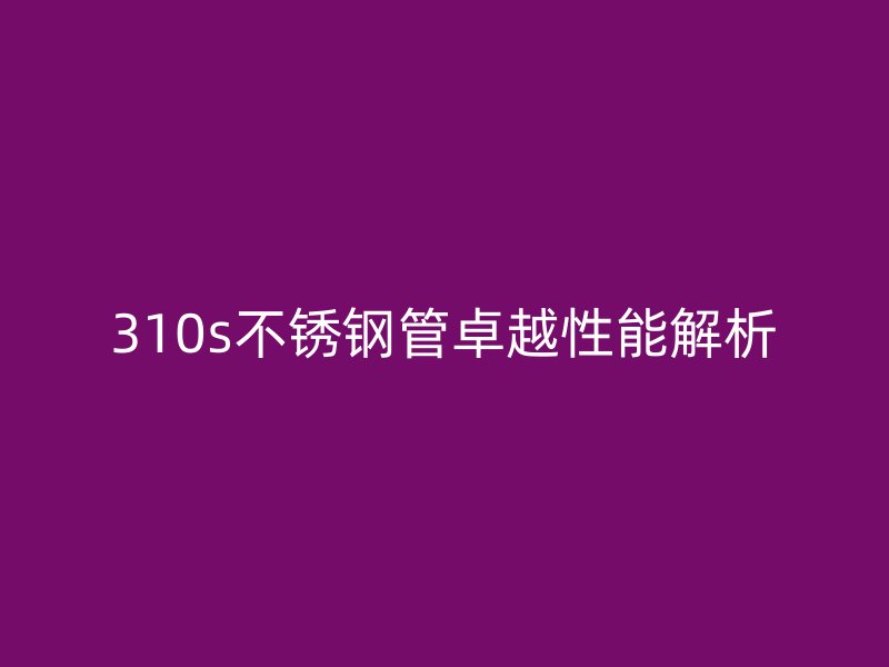 310s荣耀官方官网入口管卓越性能解析