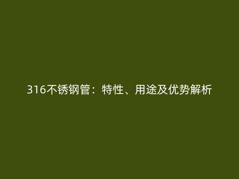 316荣耀官方官网入口管：特性、用途及优势解析