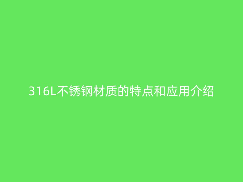 316L荣耀官方官网入口材质的特点和应用介绍