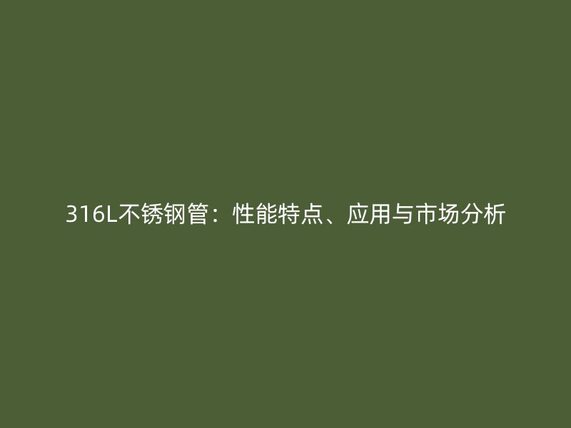 316L荣耀官方官网入口管：性能特点、应用与市场分析