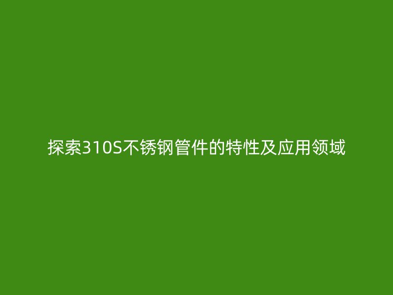 探索310S荣耀官方官网入口管件的特性及应用领域