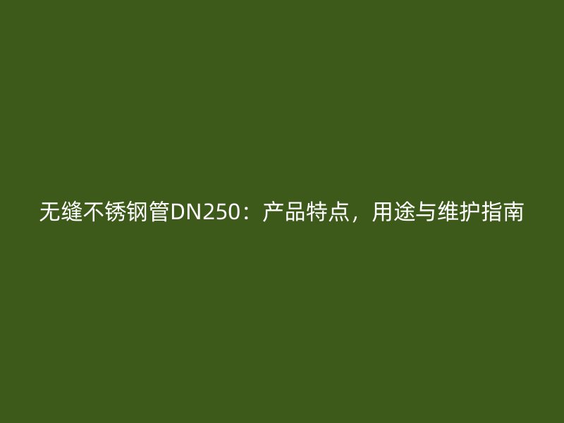 无缝荣耀官方官网入口管DN250：产品特点，用途与维护指南