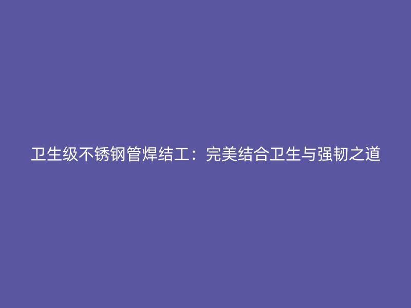 卫生级荣耀官方官网入口管焊结工：完美结合卫生与强韧之道