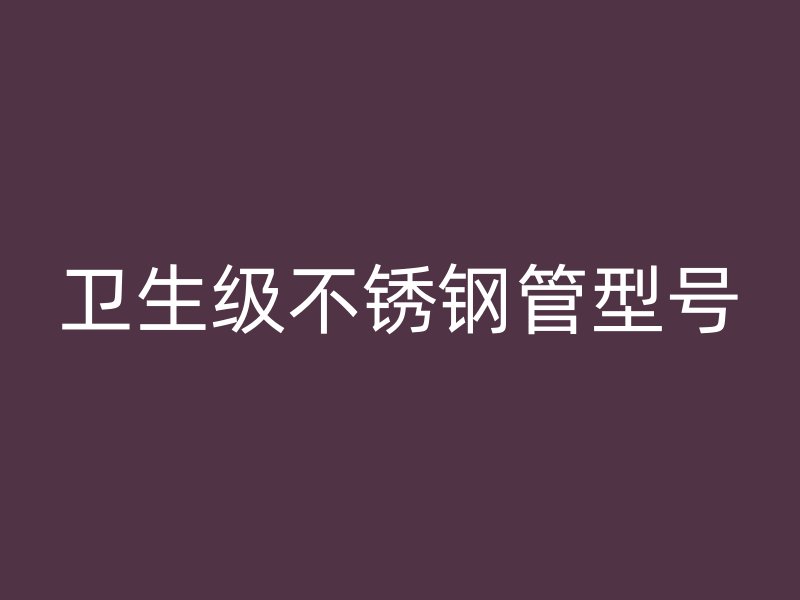 卫生级荣耀官方官网入口管型号