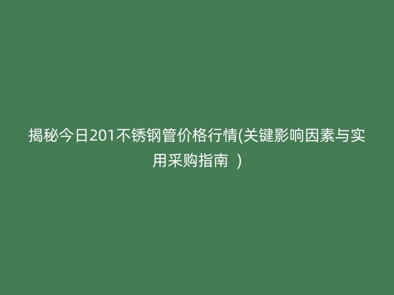 揭秘今日201荣耀官方官网入口管价格行情(关键影响因素与实用采购指南  )