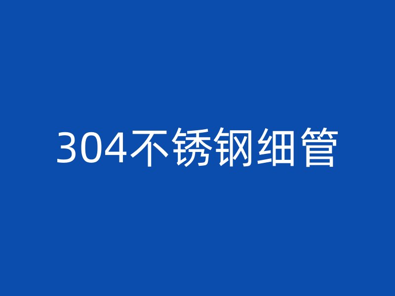 304荣耀官方官网入口细管