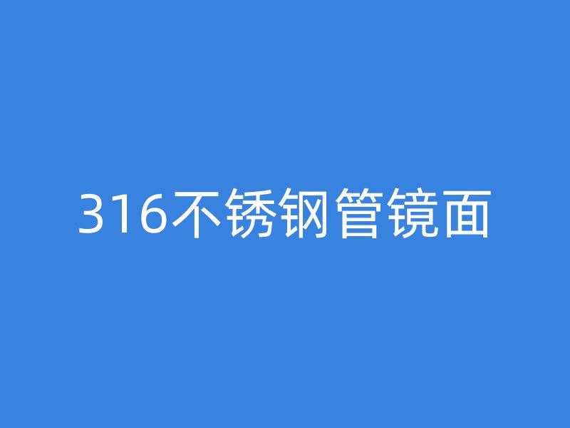 316荣耀官方官网入口管镜面