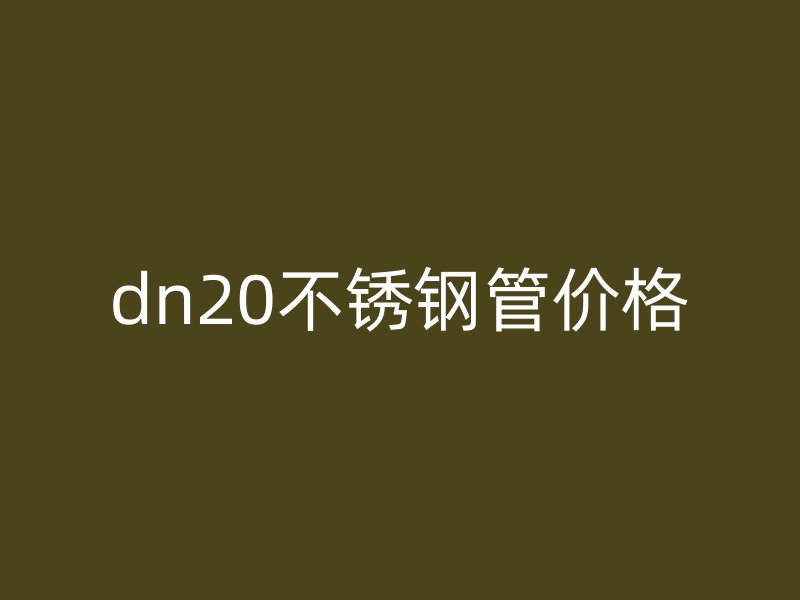 dn20荣耀官方官网入口管价格