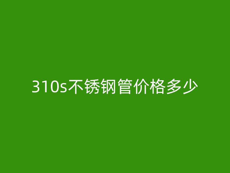 310s荣耀官方官网入口管价格多少