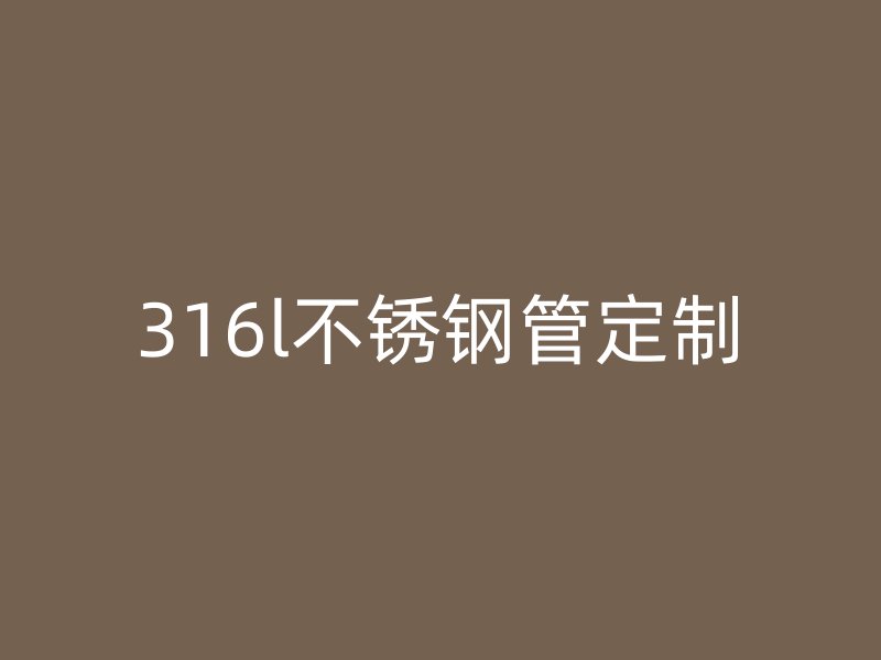 316l荣耀官方官网入口管定制