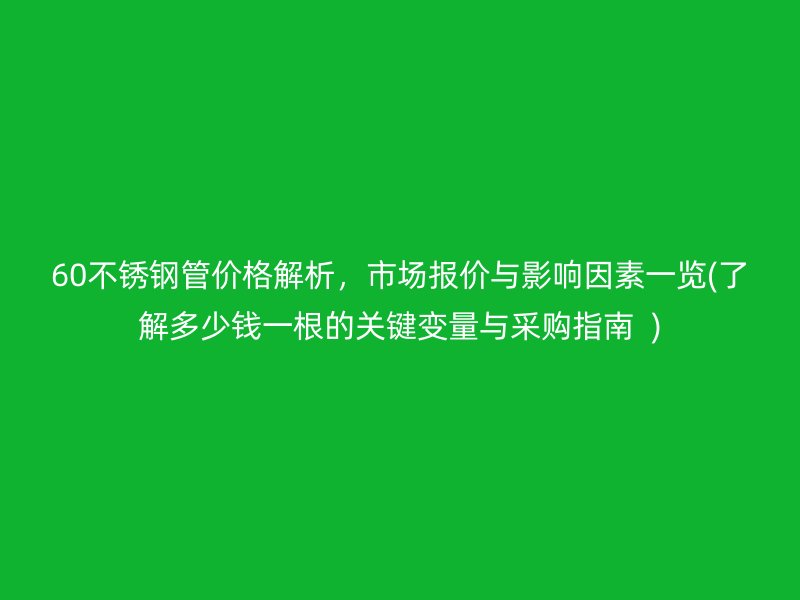 60荣耀官方官网入口管价格解析，市场报价与影响因素一览(了解多少钱一根的关键变量与采购指南  )