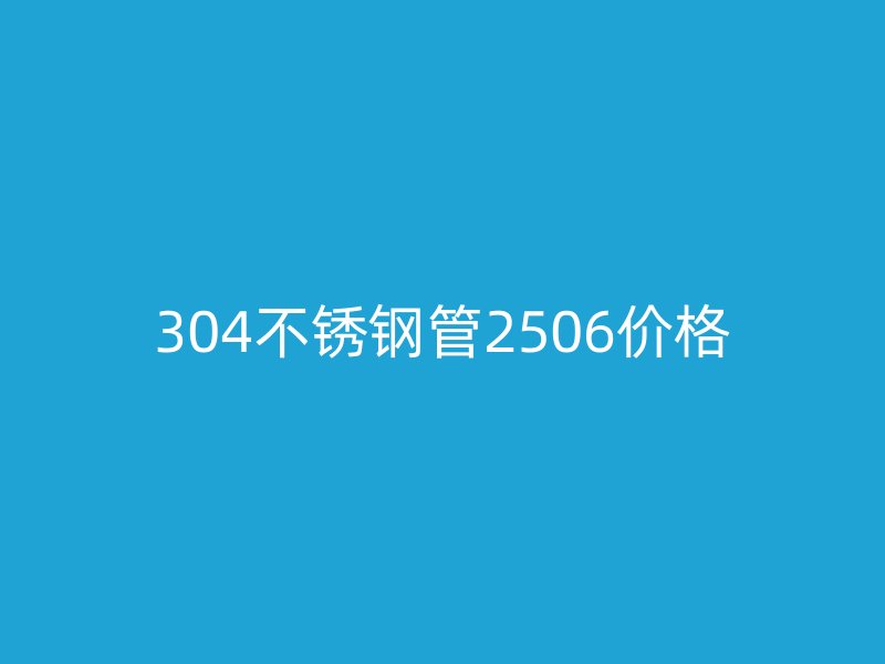 304荣耀官方官网入口管2506价格
