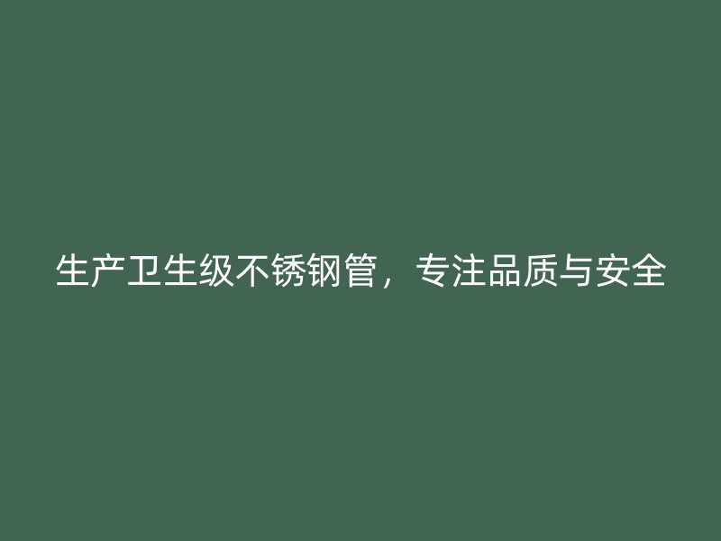 生产卫生级荣耀官方官网入口管，专注品质与安全