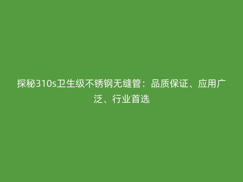 探秘310s卫生级荣耀官方官网入口无缝管：品质保证、应用广泛、行业首选
