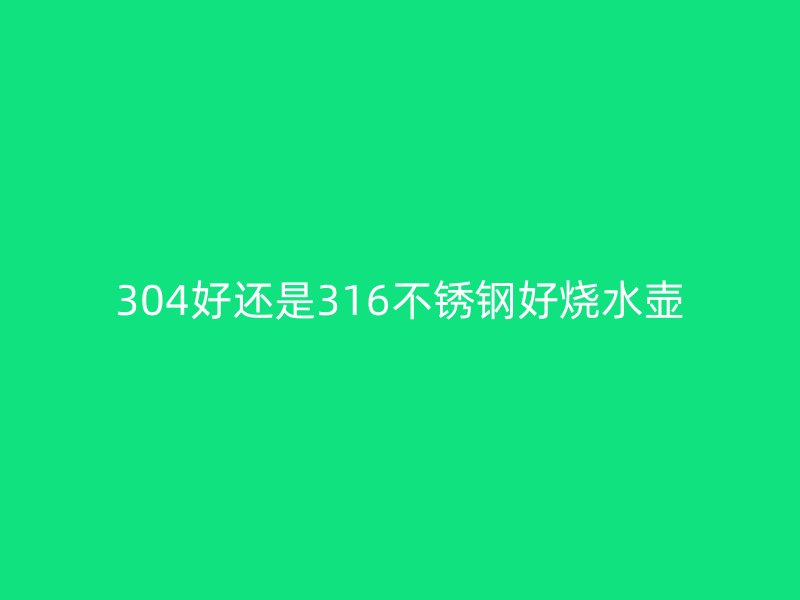 304好还是316荣耀官方官网入口好烧水壶