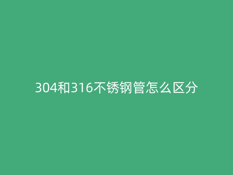 304和316荣耀官方官网入口管怎么区分