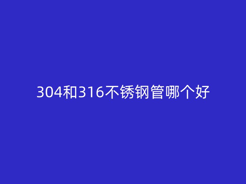 304和316荣耀官方官网入口管哪个好