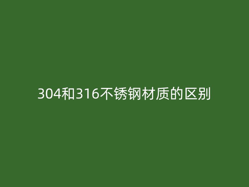 304和316荣耀官方官网入口材质的区别