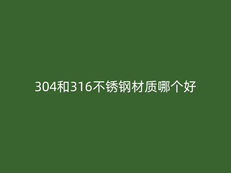 304和316荣耀官方官网入口材质哪个好