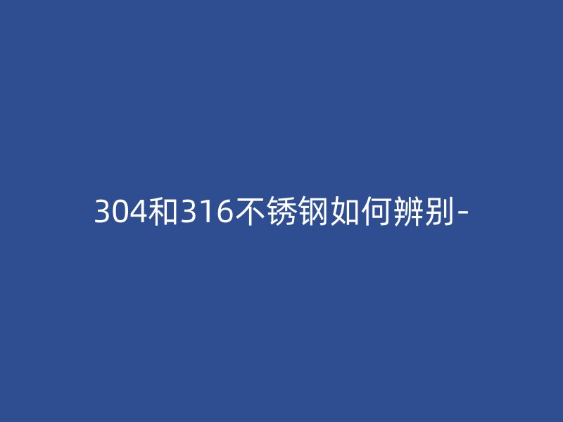 304和316荣耀官方官网入口如何辨别-