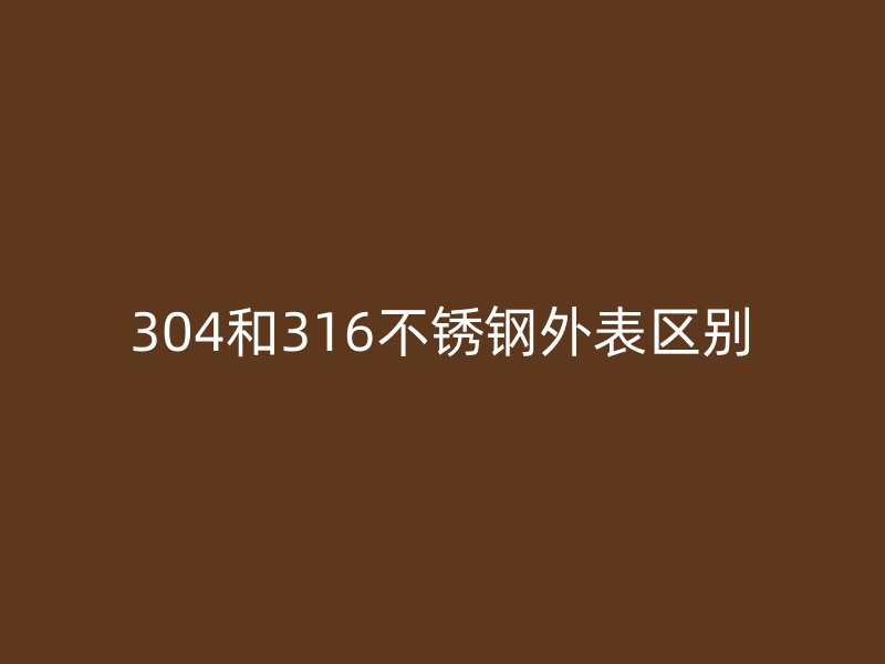 304和316荣耀官方官网入口外表区别