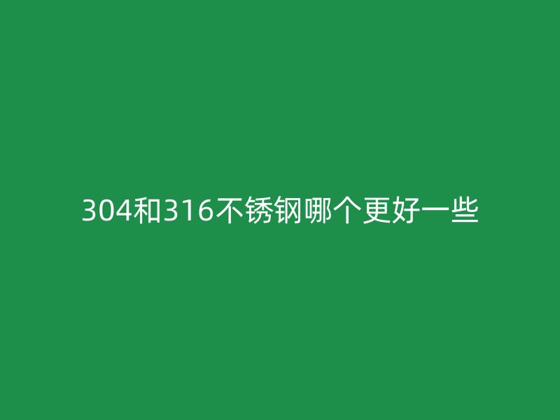 304和316荣耀官方官网入口哪个更好一些