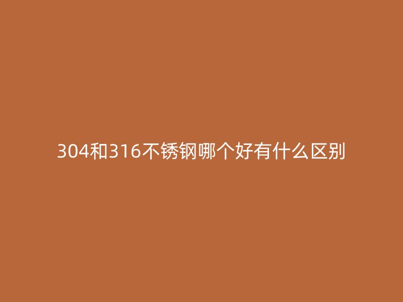 304和316荣耀官方官网入口哪个好有什么区别
