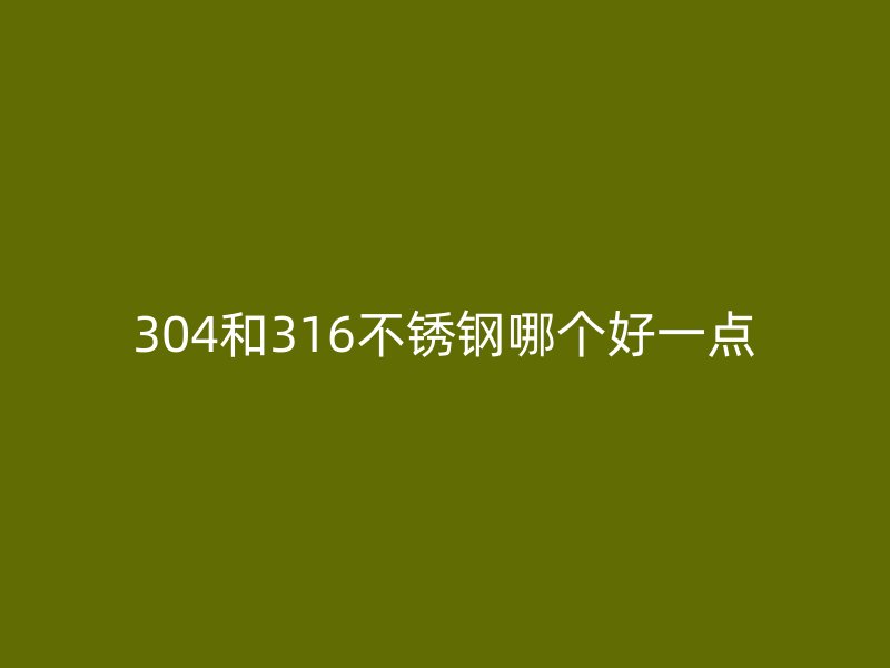 304和316荣耀官方官网入口哪个好一点