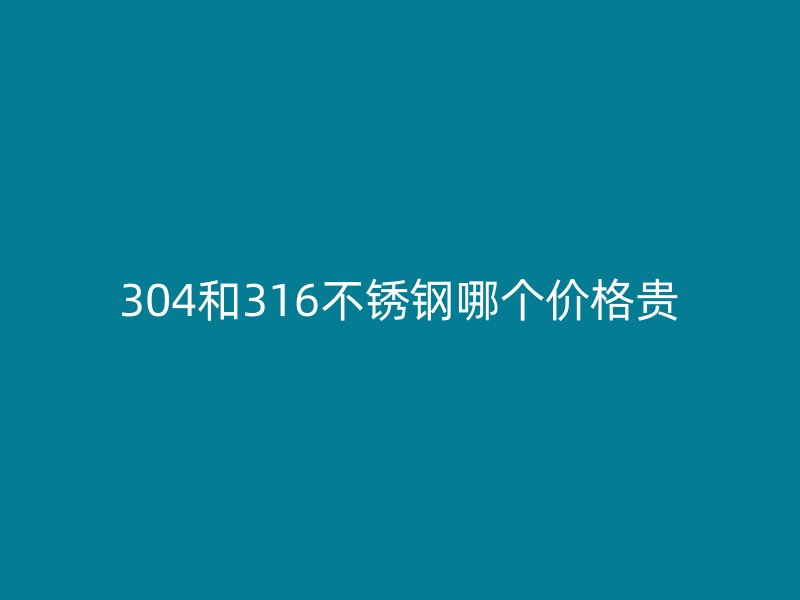 304和316荣耀官方官网入口哪个价格贵