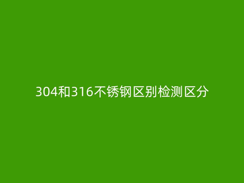 304和316荣耀官方官网入口区别检测区分