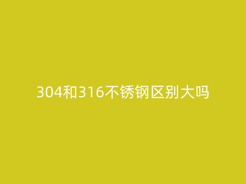 304和316荣耀官方官网入口区别大吗