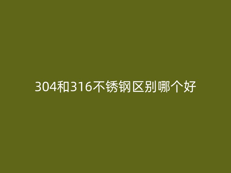 304和316荣耀官方官网入口区别哪个好