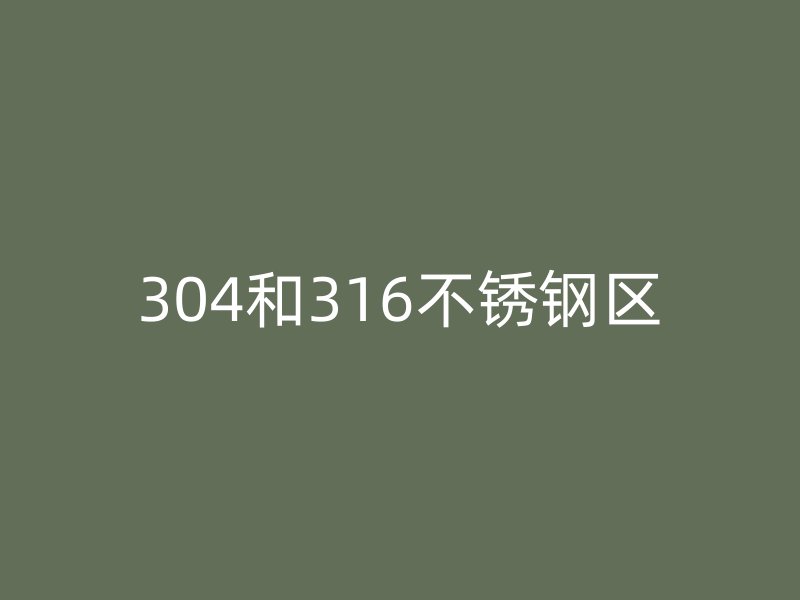304和316荣耀官方官网入口区