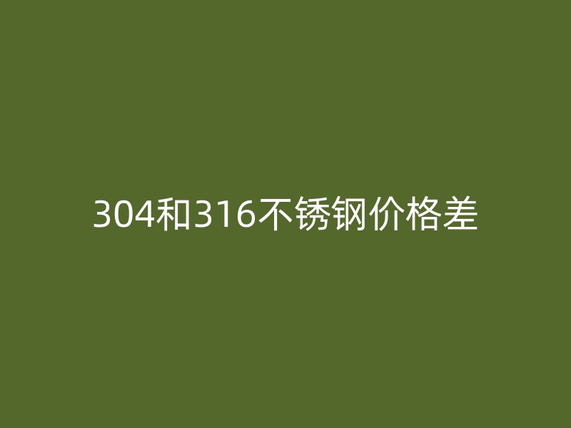 304和316荣耀官方官网入口价格差