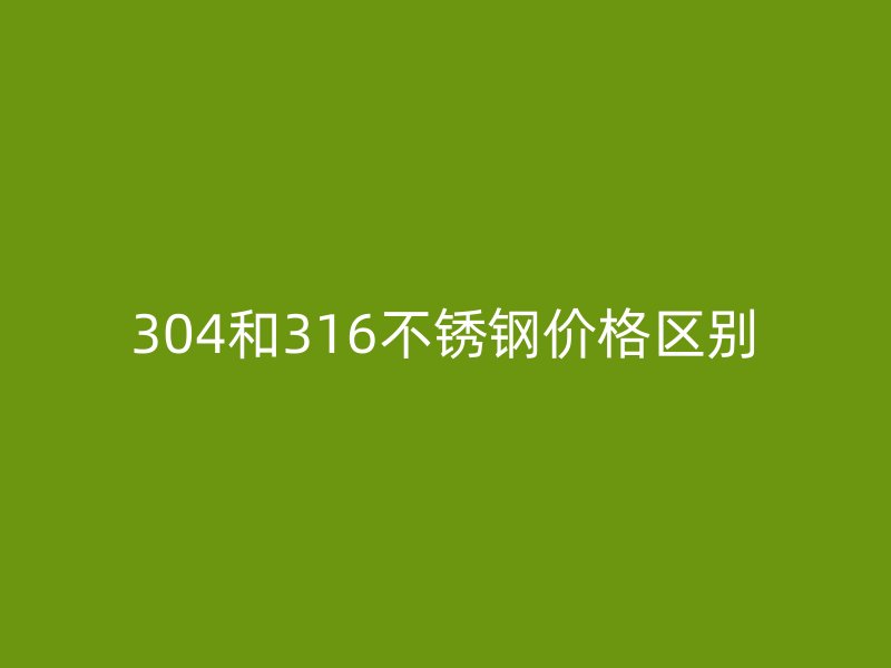 304和316荣耀官方官网入口价格区别