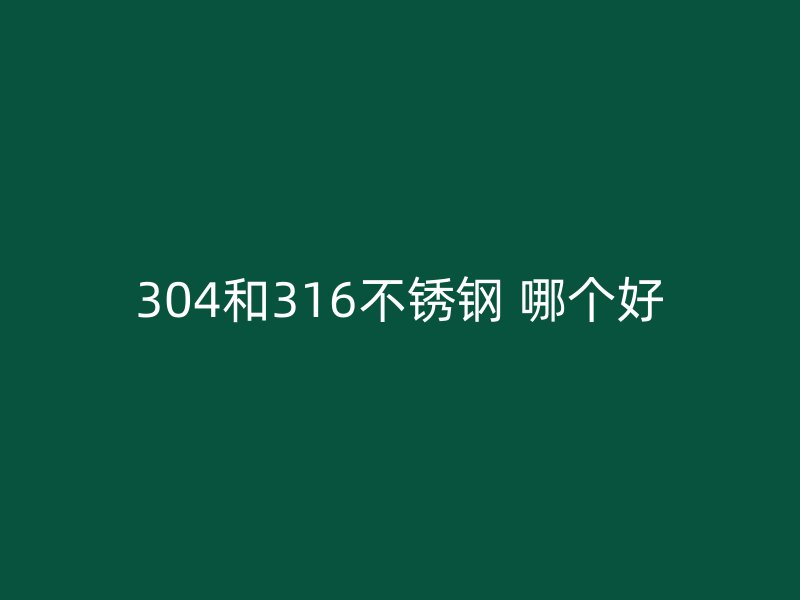 304和316荣耀官方官网入口 哪个好