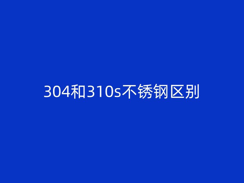304和310s荣耀官方官网入口区别