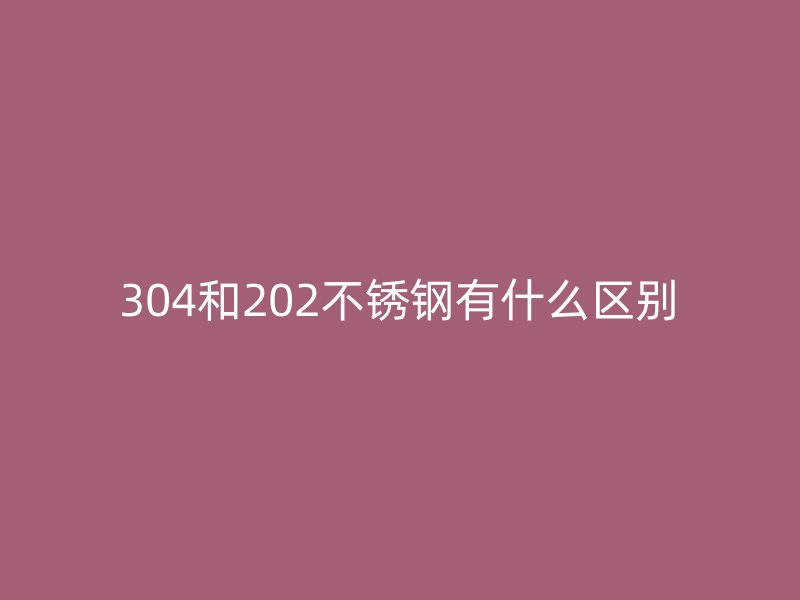 304和202荣耀官方官网入口有什么区别