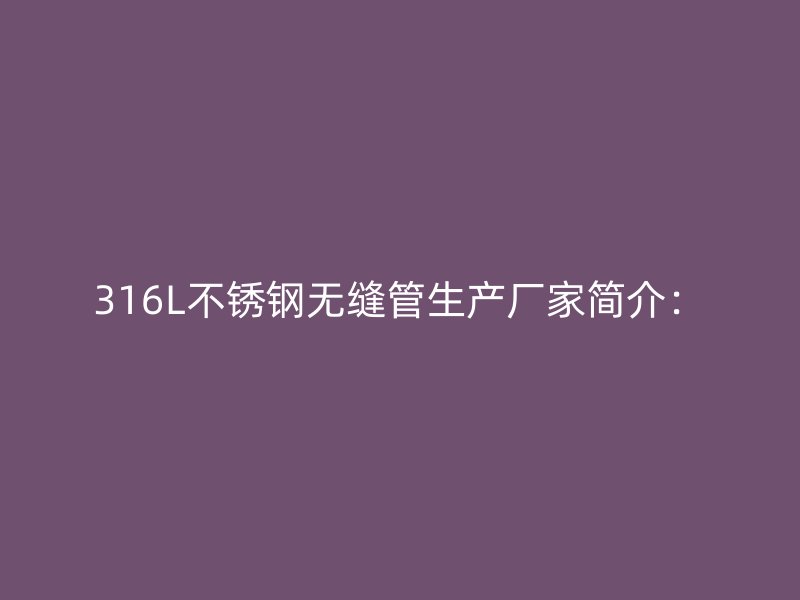 316L荣耀官方官网入口无缝管生产厂家简介：