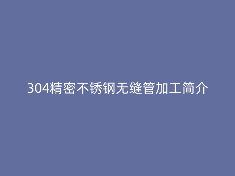304精密荣耀官方官网入口无缝管加工简介