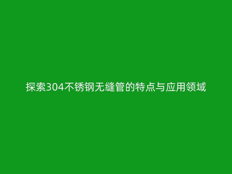 探索304荣耀官方官网入口无缝管的特点与应用领域