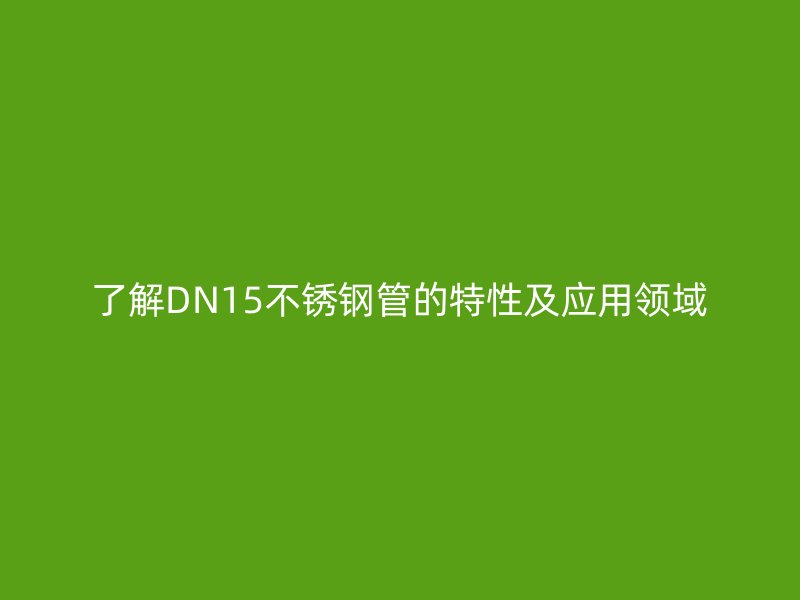 了解DN15荣耀官方官网入口管的特性及应用领域