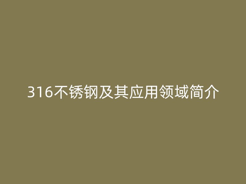 316荣耀官方官网入口及其应用领域简介