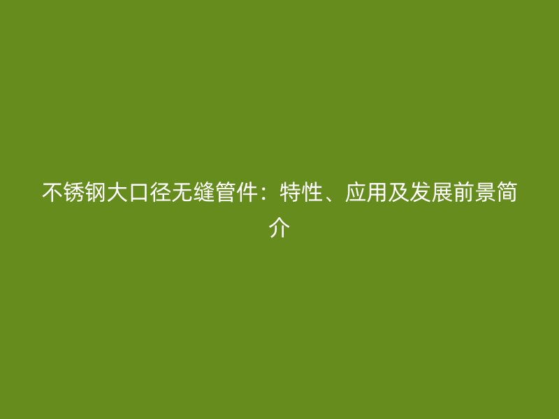 荣耀官方官网入口大口径无缝管件：特性、应用及发展前景简介