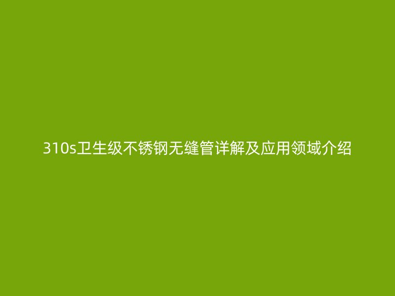 310s卫生级荣耀官方官网入口无缝管详解及应用领域介绍