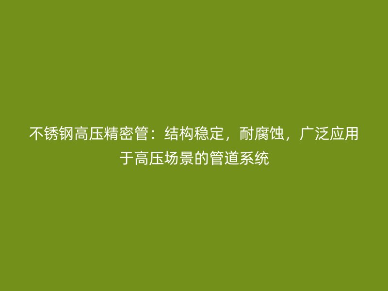 荣耀官方官网入口高压精密管：结构稳定，耐腐蚀，广泛应用于高压场景的管道系统