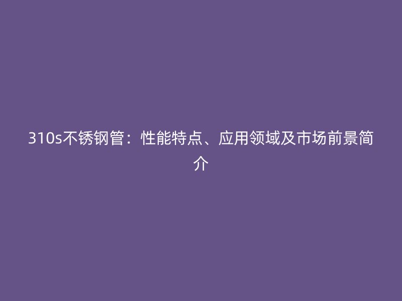 310s荣耀官方官网入口管：性能特点、应用领域及市场前景简介