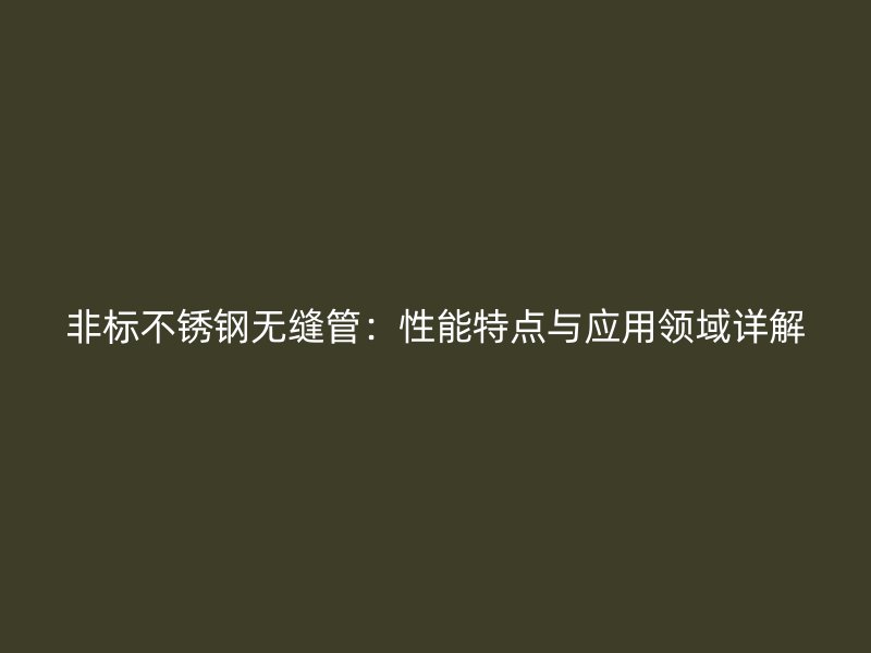 非标荣耀官方官网入口无缝管：性能特点与应用领域详解