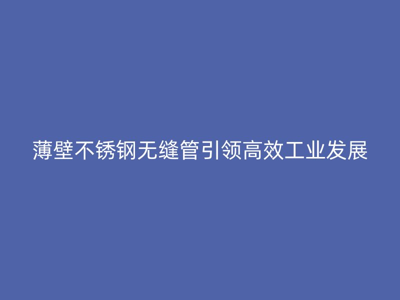薄壁荣耀官方官网入口无缝管引领高效工业发展