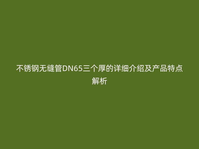 荣耀官方官网入口无缝管DN65三个厚的详细介绍及产品特点解析